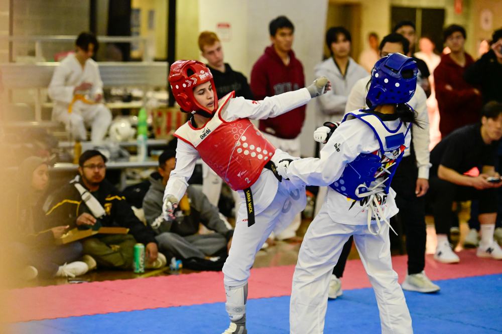 TDog Taekwondo competition G421