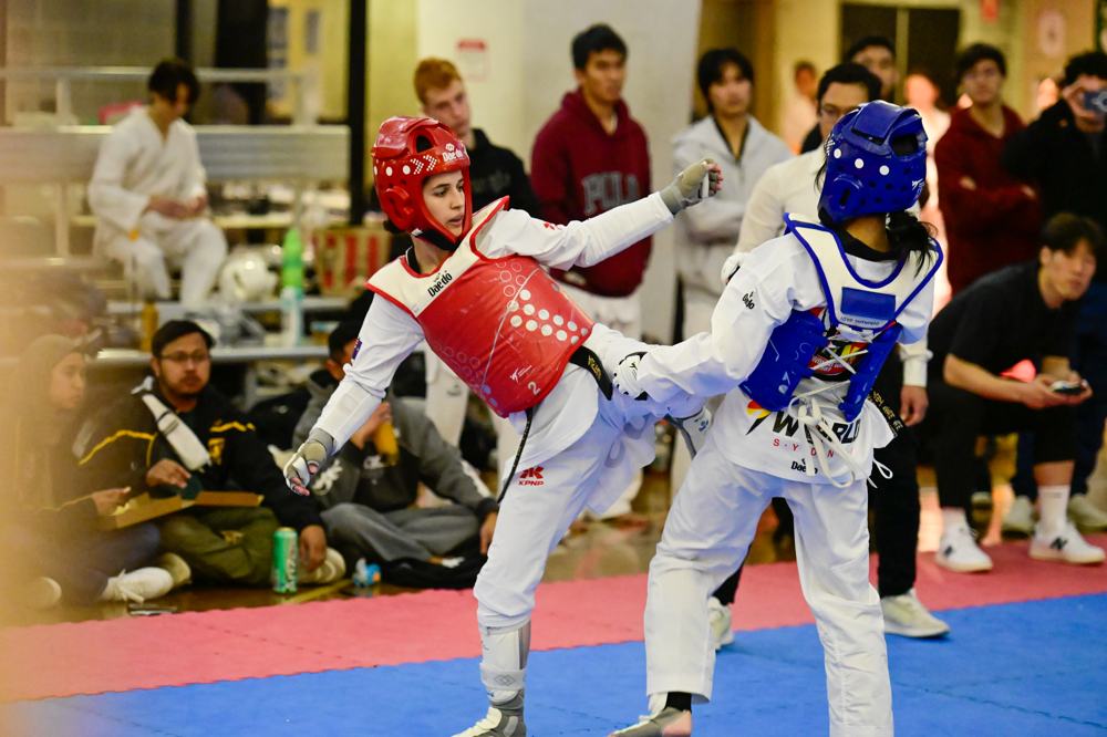 TDog Taekwondo competition G422
