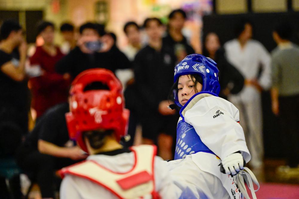 TDog Taekwondo competition G423