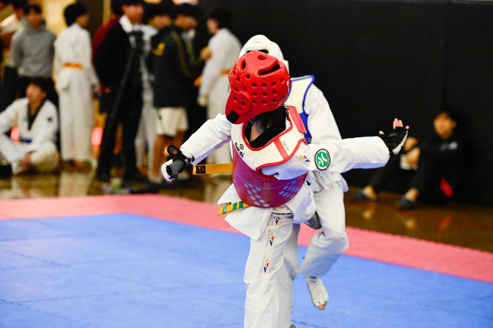 TDog Taekwondo competition G424
