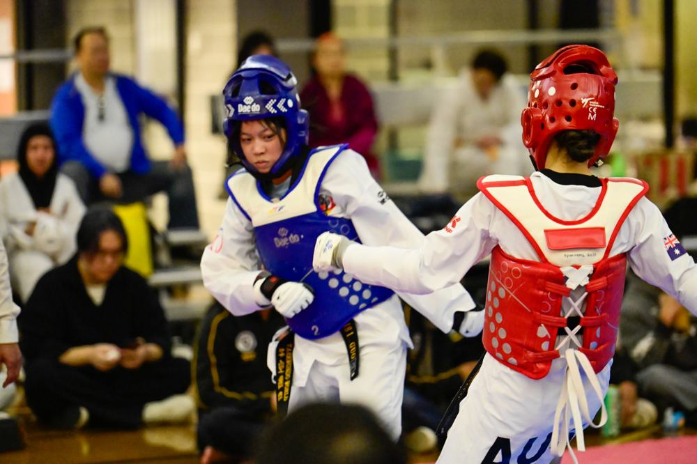 TDog Taekwondo competition G425