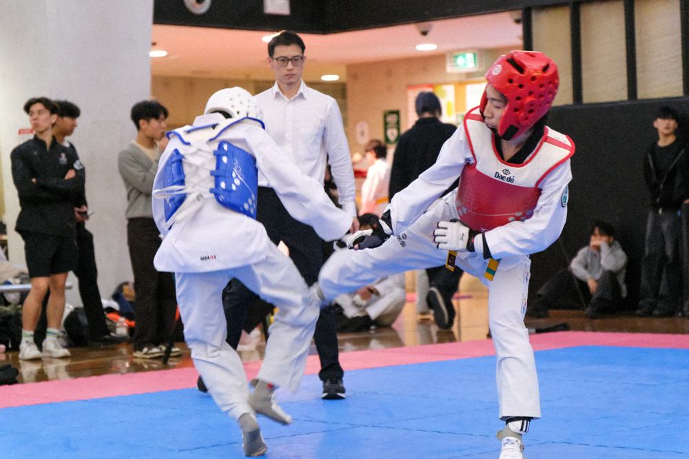 TDog Taekwondo competition G426