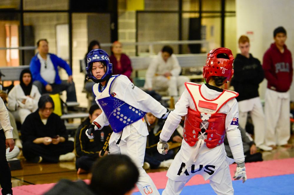 TDog Taekwondo competition G427