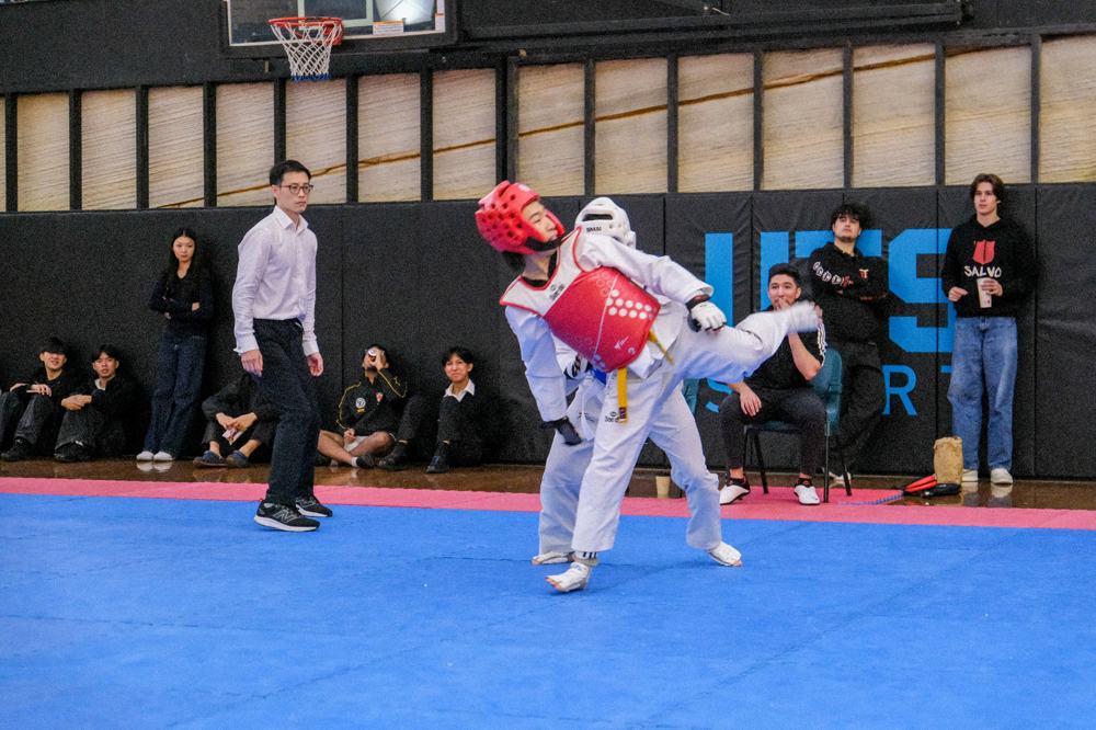 TDog Taekwondo competition G428