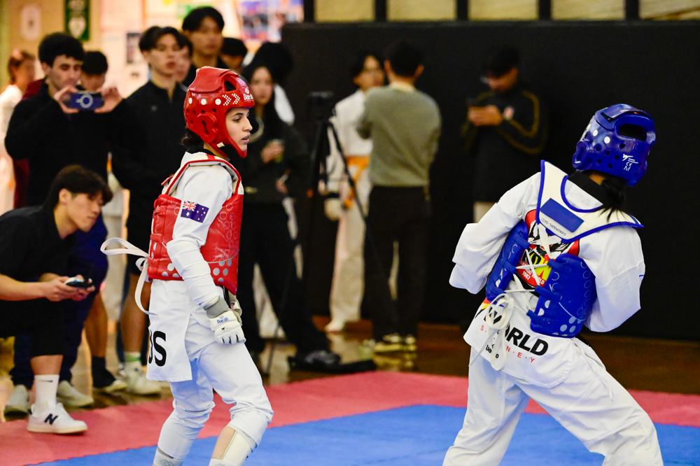 TDog Taekwondo competition G429