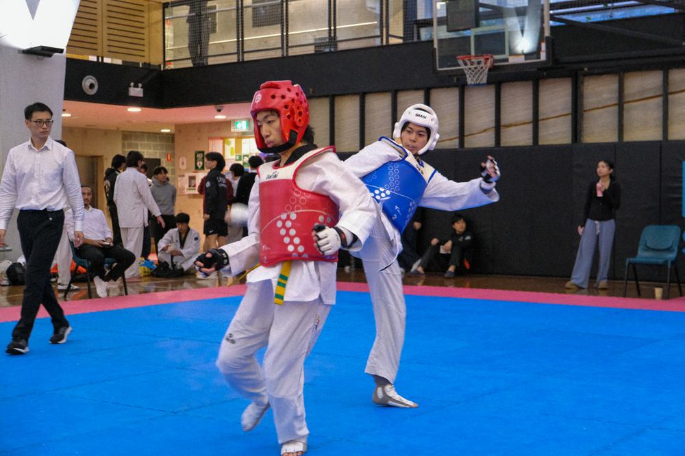 TDog Taekwondo competition G430