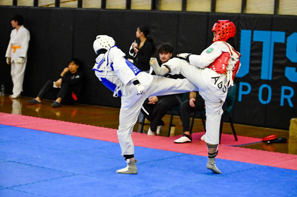 TDog Taekwondo competition G431