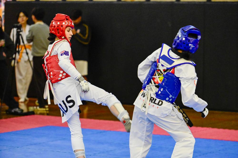 TDog Taekwondo competition G432