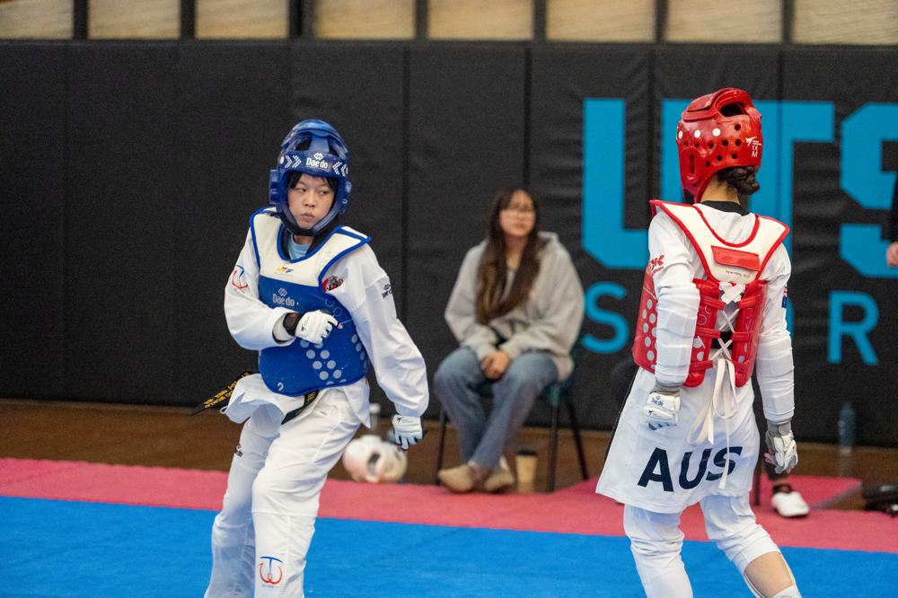 TDog Taekwondo competition G434