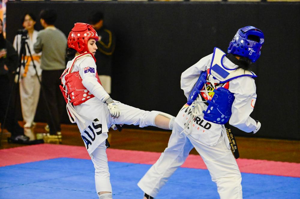 TDog Taekwondo competition G436