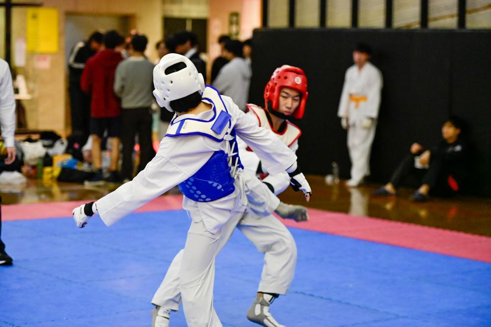 TDog Taekwondo competition G437