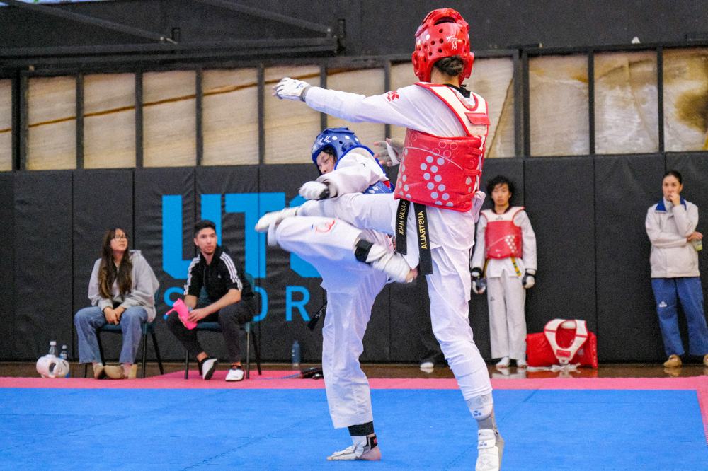 TDog Taekwondo competition G438