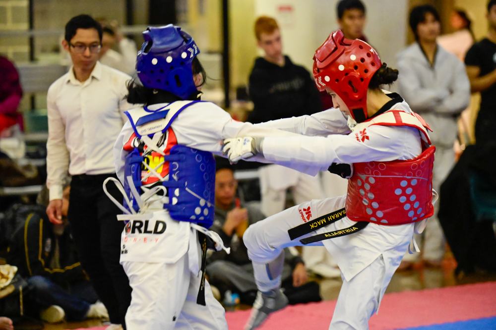 TDog Taekwondo competition G440