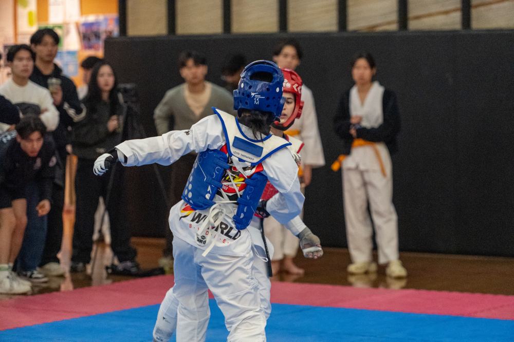 TDog Taekwondo competition G441