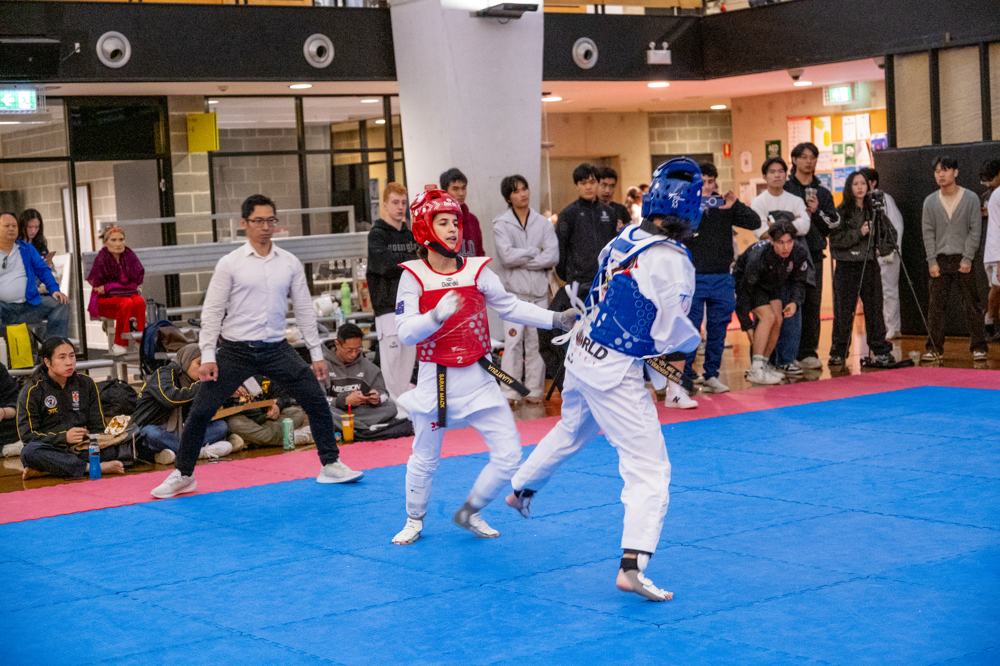 TDog Taekwondo competition G442