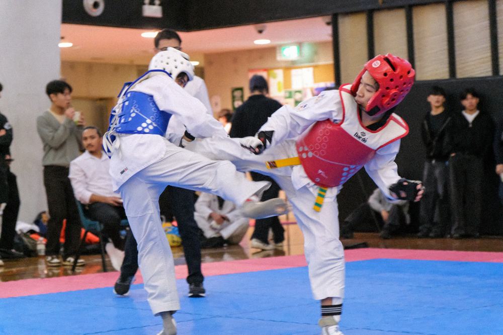 TDog Taekwondo competition G443