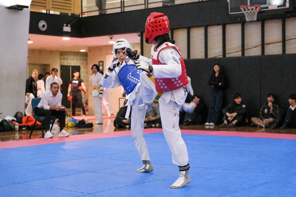 TDog Taekwondo competition G445