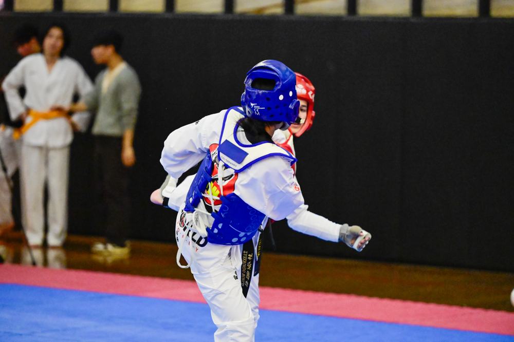 TDog Taekwondo competition G446
