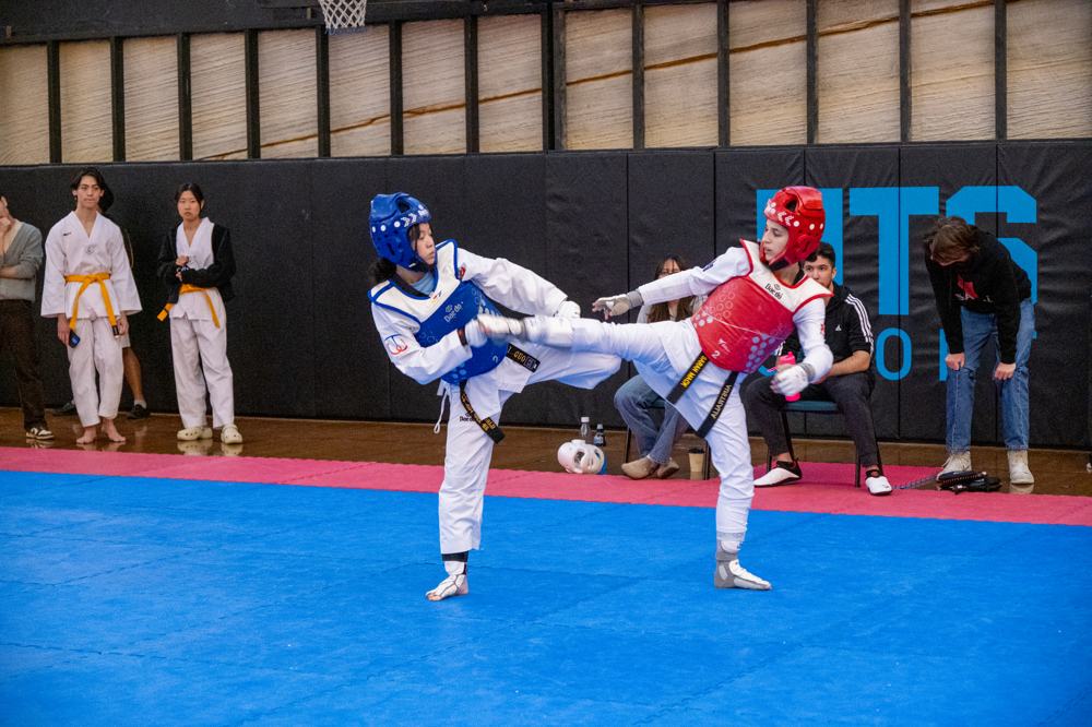 TDog Taekwondo competition G447