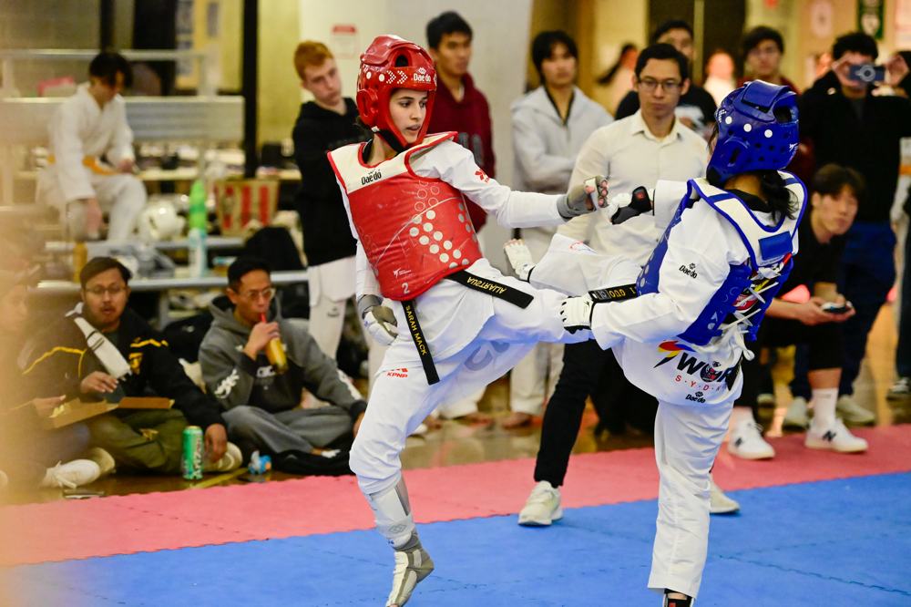 TDog Taekwondo competition G448