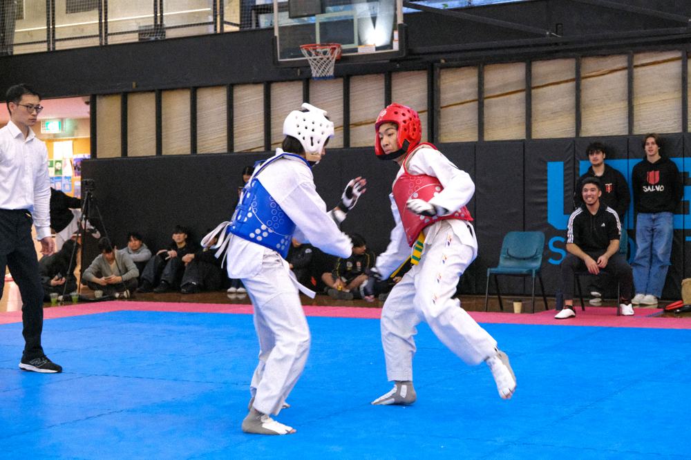 TDog Taekwondo competition G449
