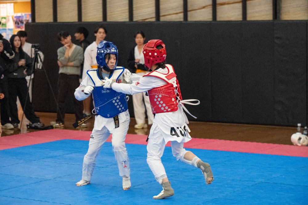 TDog Taekwondo competition G450