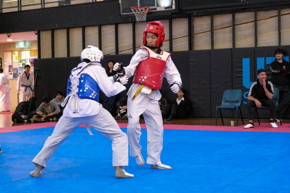 TDog Taekwondo competition G451