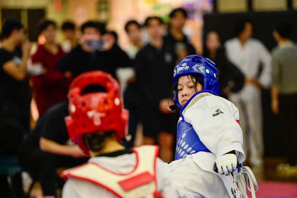 TDog Taekwondo competition G452