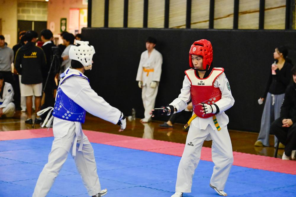 TDog Taekwondo competition G453