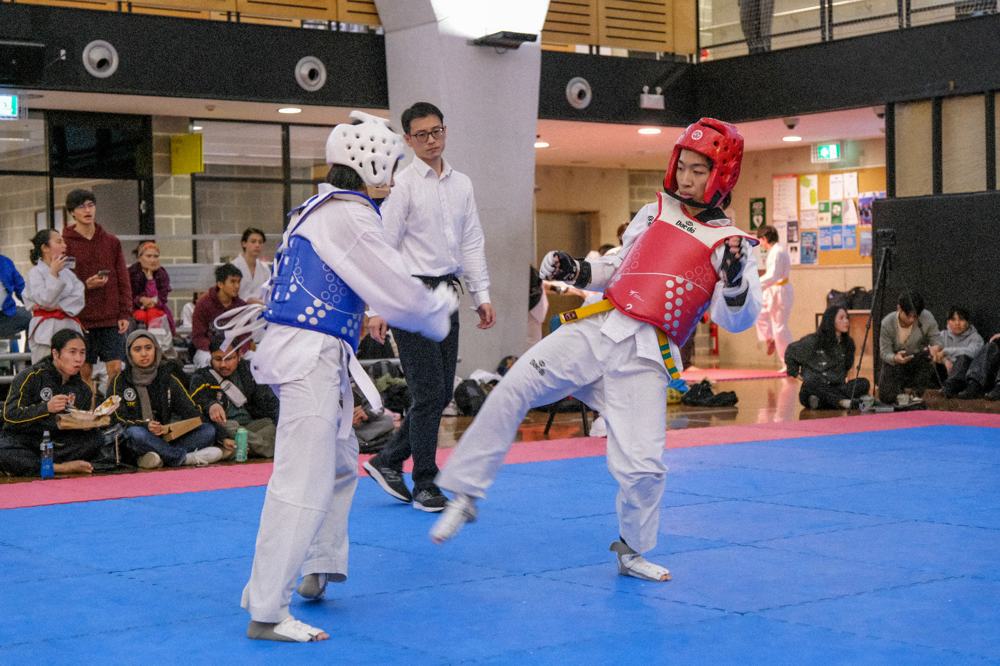 TDog Taekwondo competition G454