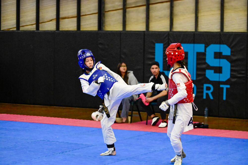 TDog Taekwondo competition G455