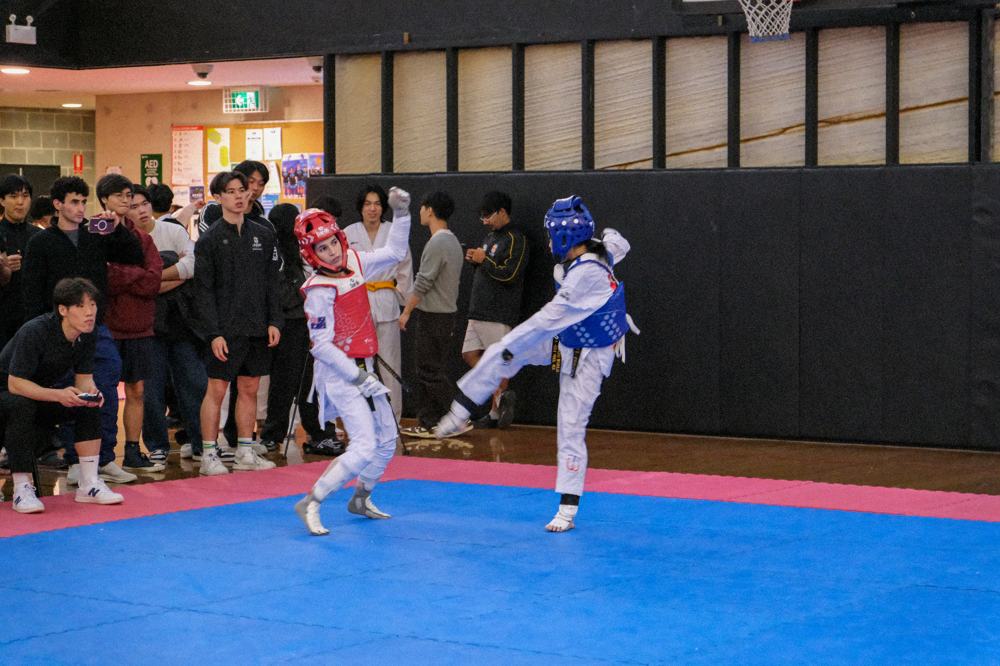 TDog Taekwondo competition G456