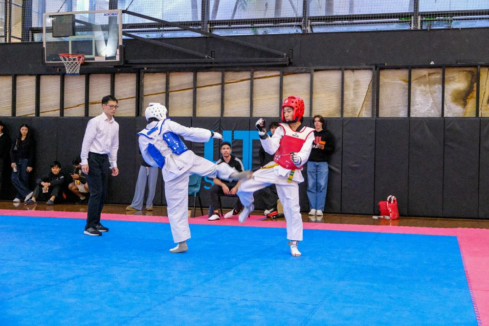 TDog Taekwondo competition G457