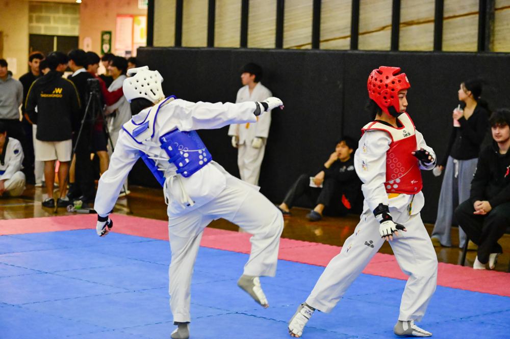 TDog Taekwondo competition G458