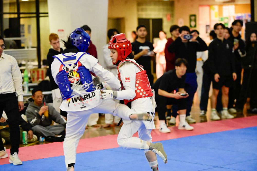 TDog Taekwondo competition G459