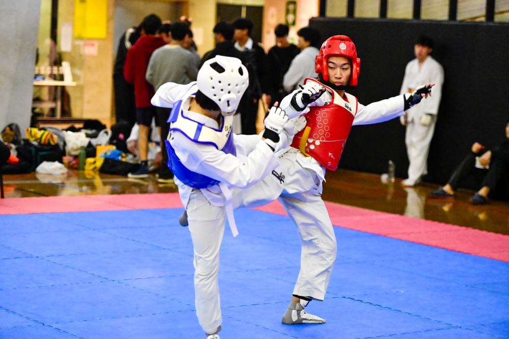 TDog Taekwondo competition G461