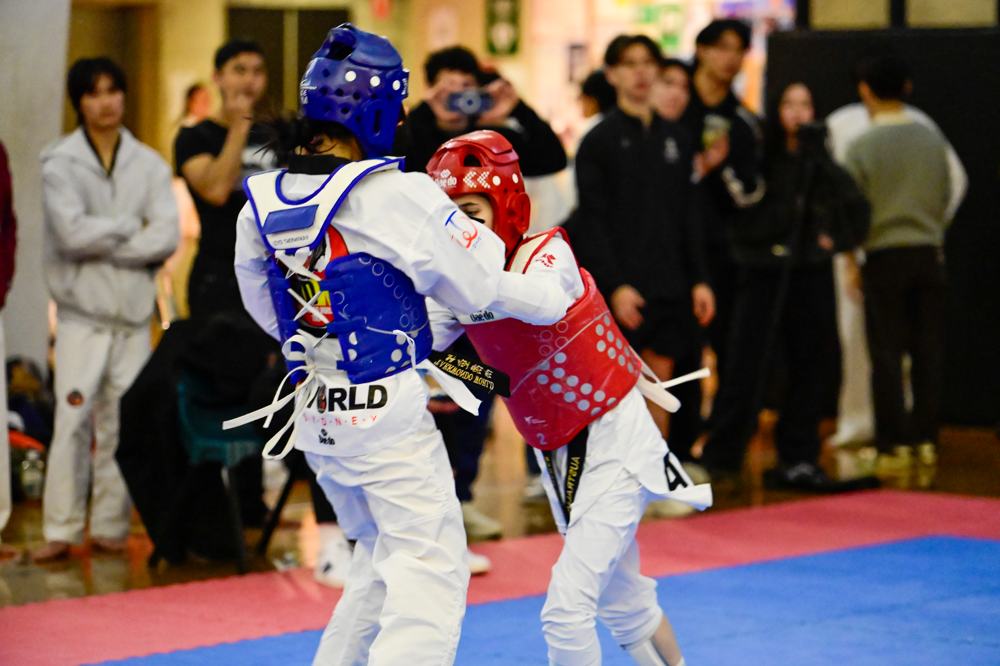 TDog Taekwondo competition G462