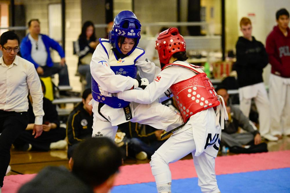 TDog Taekwondo competition G463