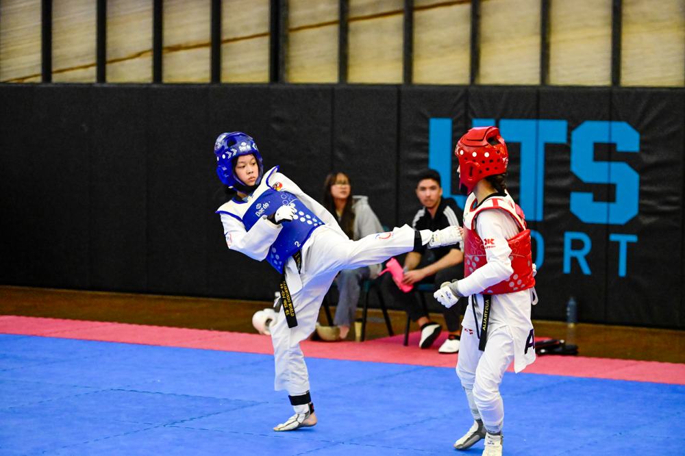 TDog Taekwondo competition G464