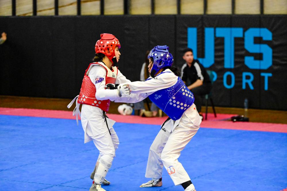 TDog Taekwondo competition G465