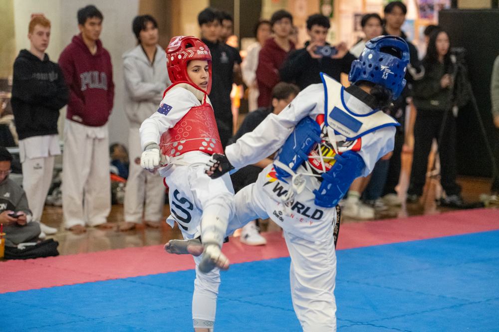 TDog Taekwondo competition G467