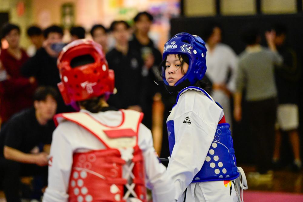 TDog Taekwondo competition G468