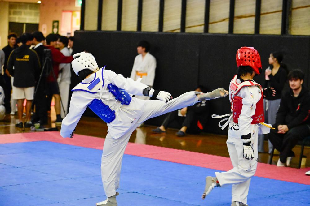TDog Taekwondo competition G469
