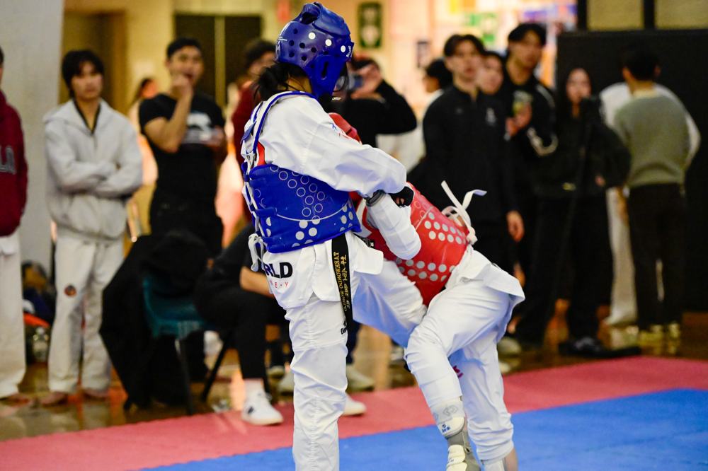 TDog Taekwondo competition G470
