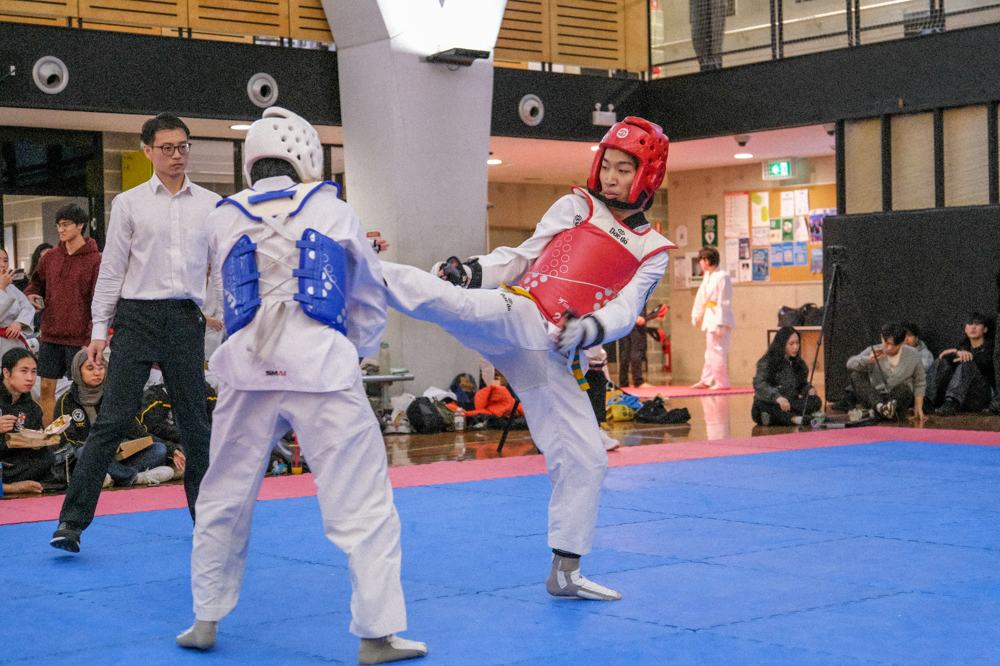 TDog Taekwondo competition G472