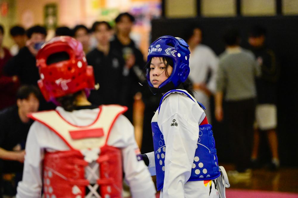 TDog Taekwondo competition G473
