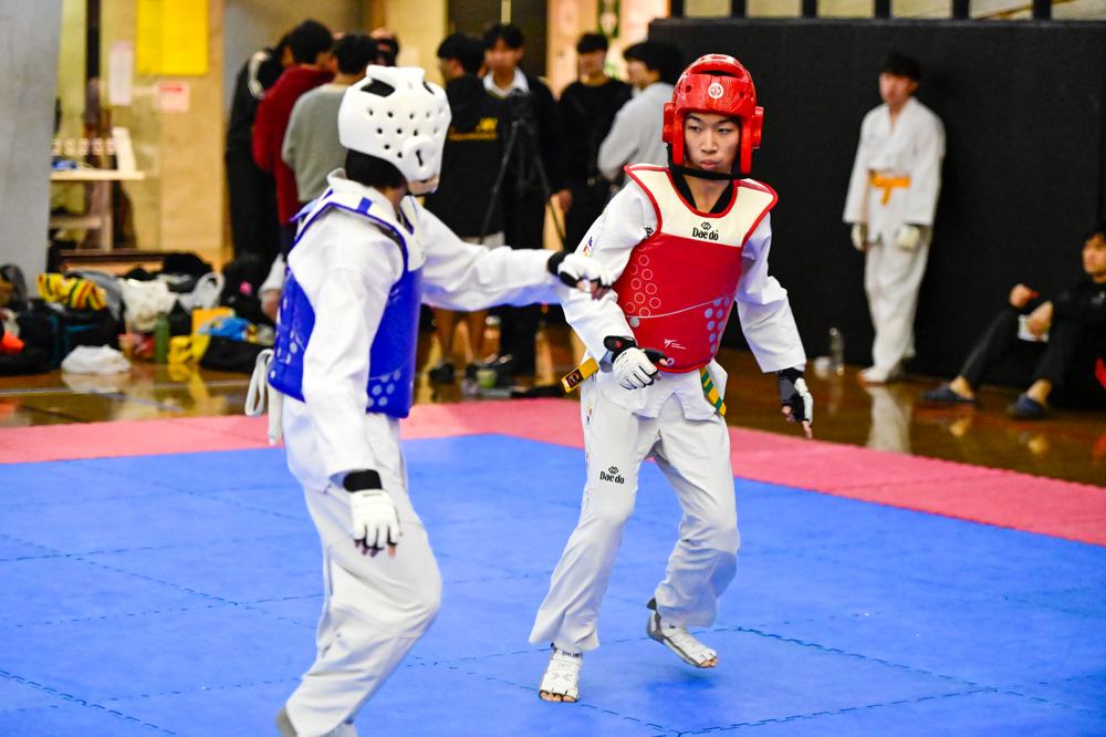 TDog Taekwondo competition G474