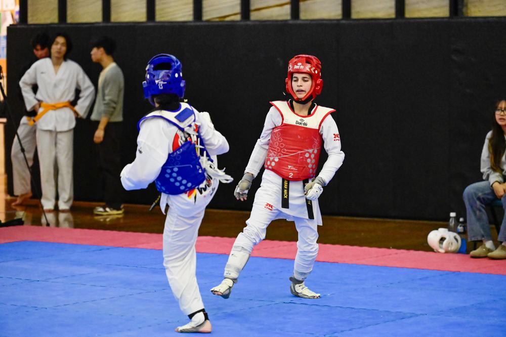 TDog Taekwondo competition G476