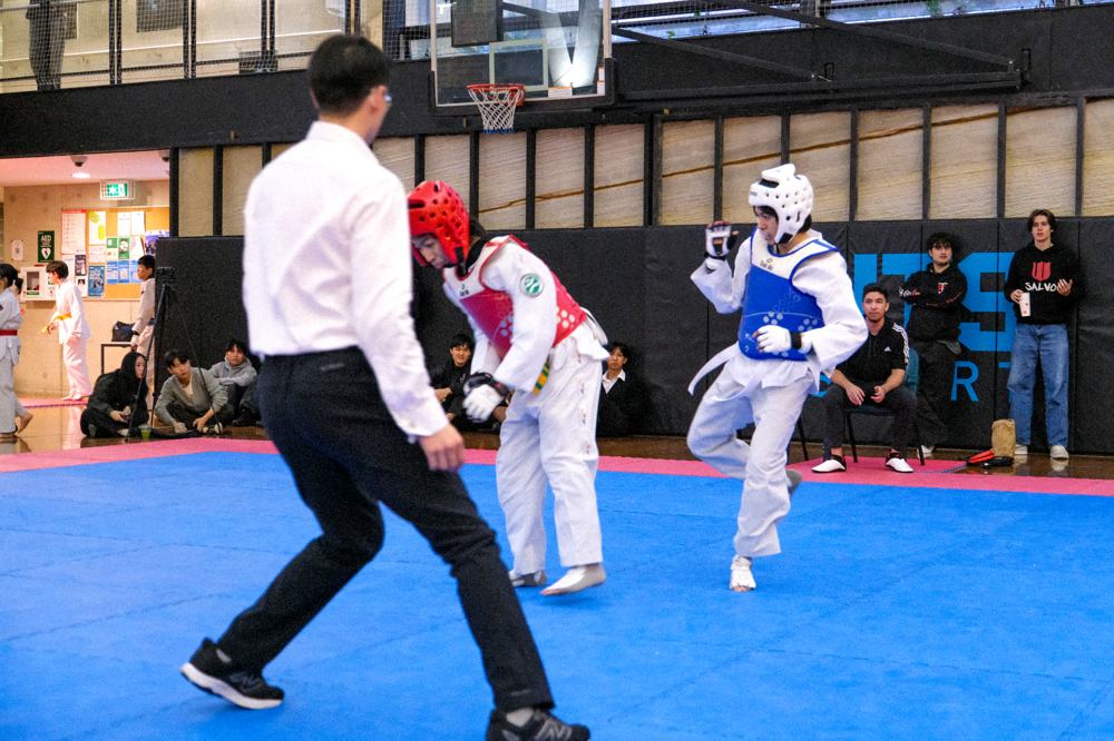 TDog Taekwondo competition G477