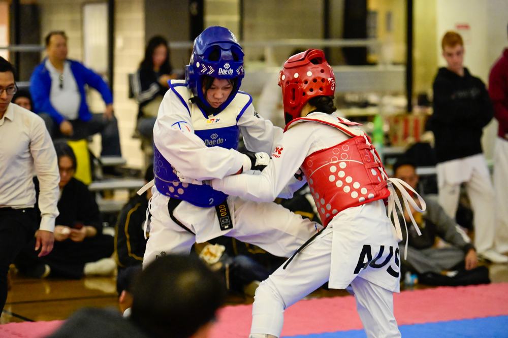 TDog Taekwondo competition G479
